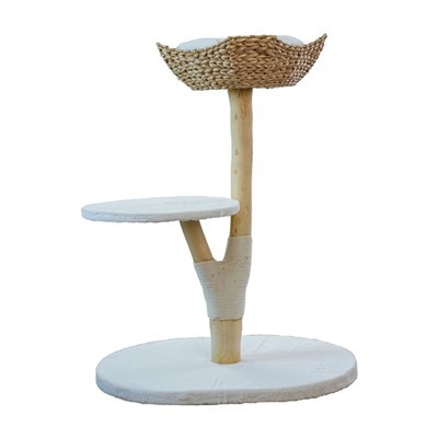 درخت گربه سبد بافته شده