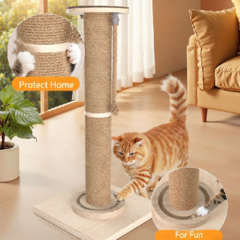 product-800-800 product-800-800