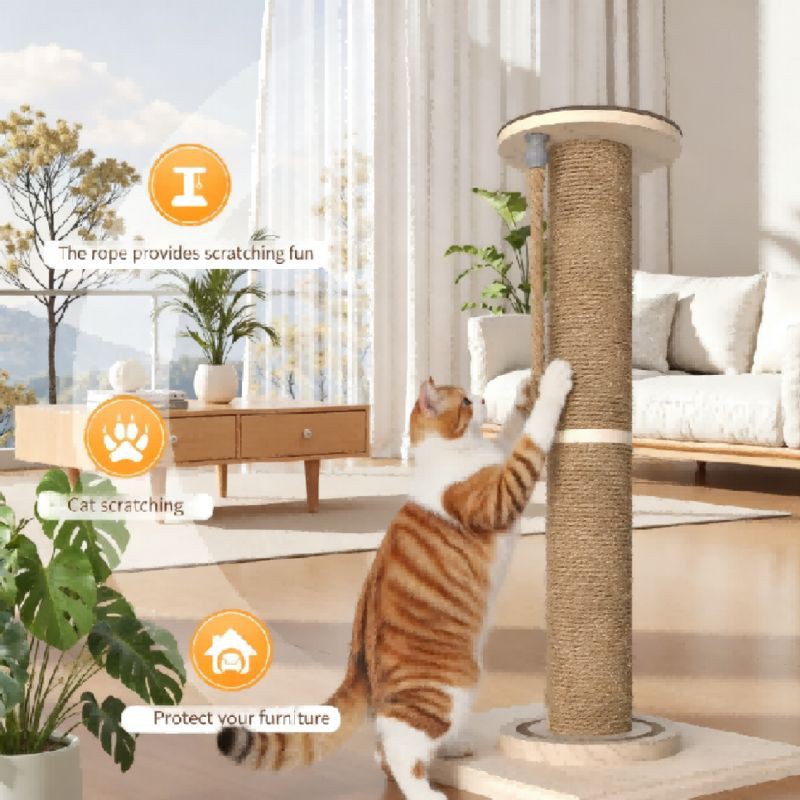 product-800-800 product-800-800