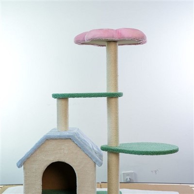 درخت گربه صورتی بزرگ